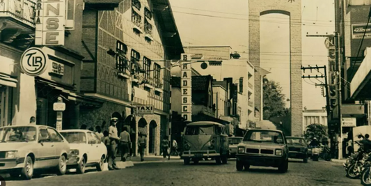 A História de Blumenau: Um Legado Cultural.