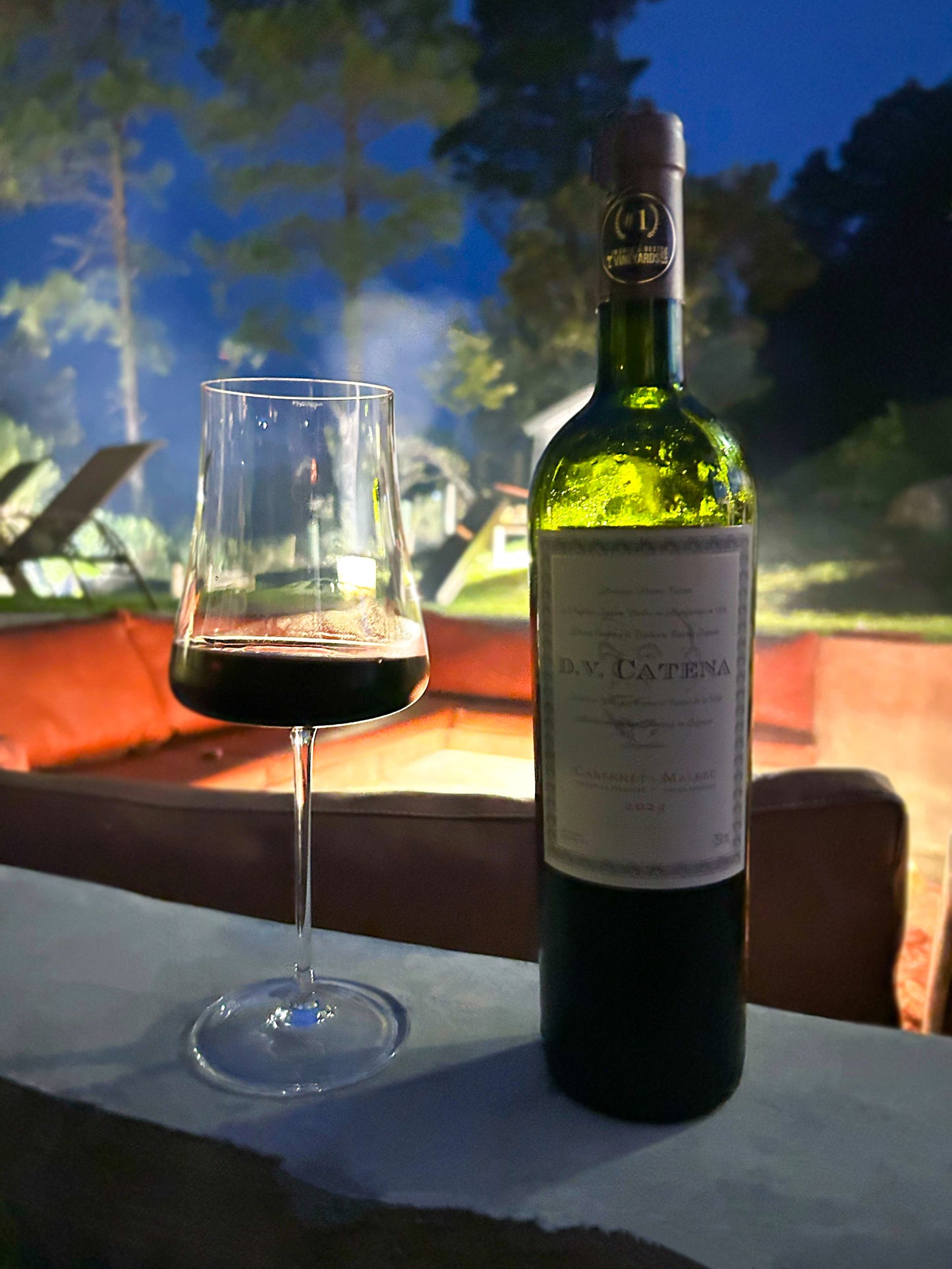 PERSONALIZAÇÃO | Taça de Cristal Moderna para Vinho Tinto 500ml | Cristal Blumenau