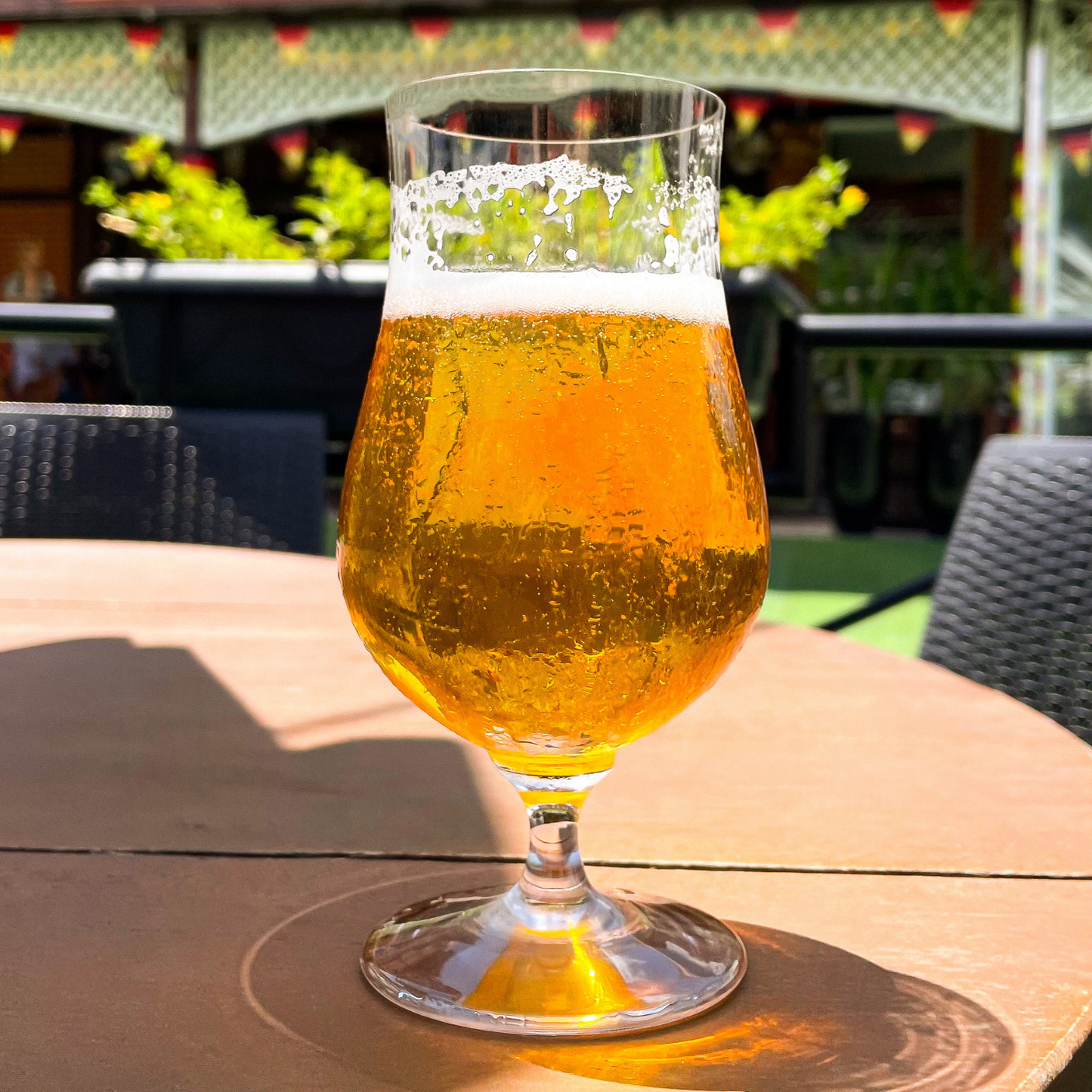 Taça de Cristal Bruxelas | Cristal Blumenau