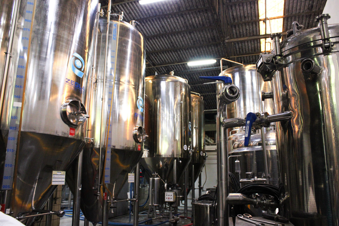 Cervejaria Blumenau abre as portas para visitação guiada e convida o público a viver a experiência da cerveja artesanal.