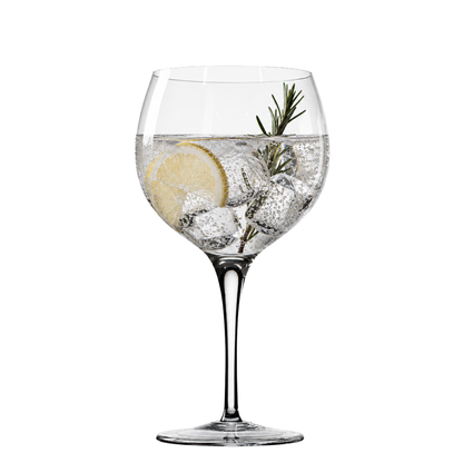 Taça de Cristal Citrus para Gin | Cristal Blumenau