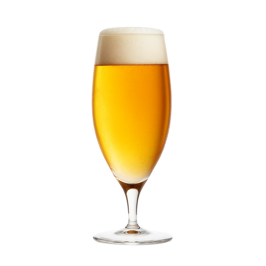 Tulipa de Cristal Pokal Pilsner para Cerveja 300ml | Cristal Blumenau